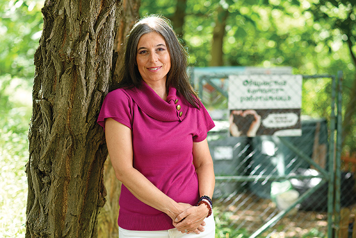 Irena Petrova Tierra Verde.jpg